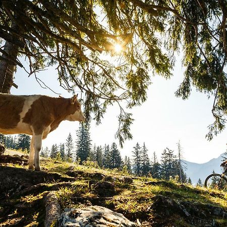 Ferienwohnung Schifterhof Ruhpolding Buitenkant foto