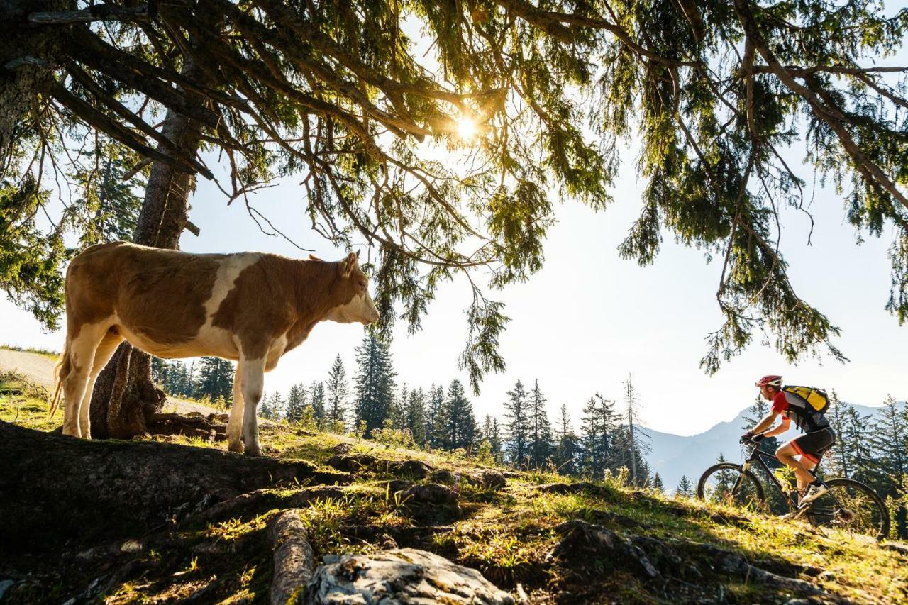 Ferienwohnung Schifterhof Ruhpolding Buitenkant foto