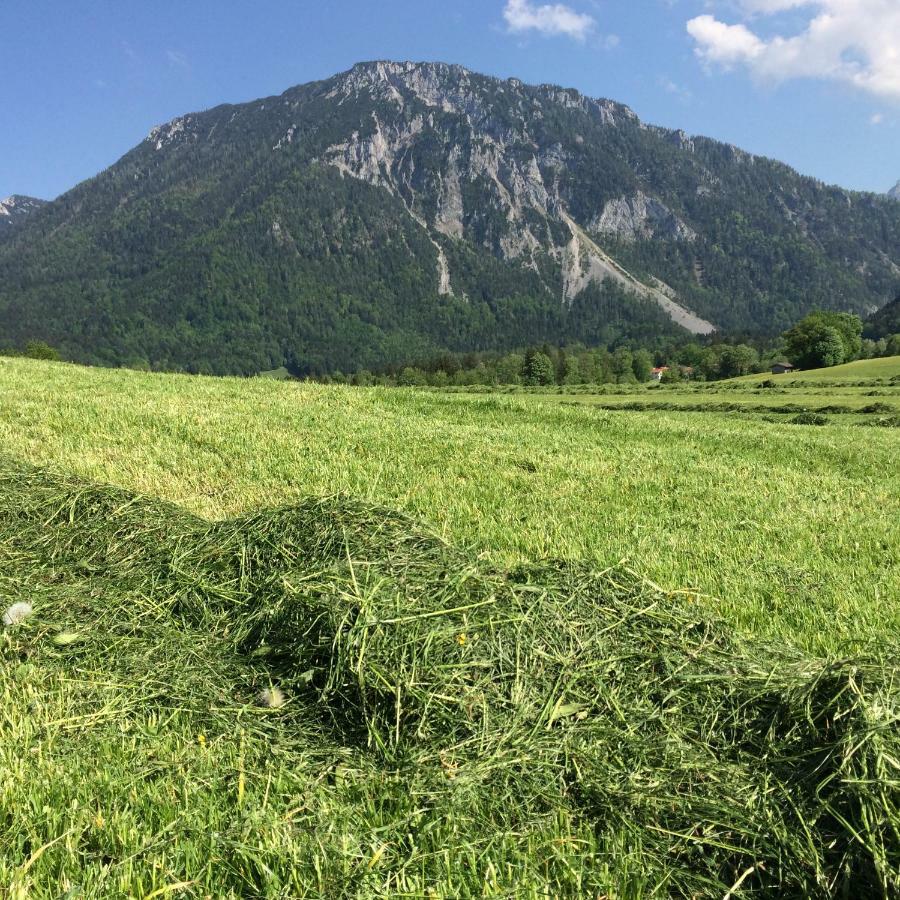 Ferienwohnung Schifterhof Ruhpolding Buitenkant foto